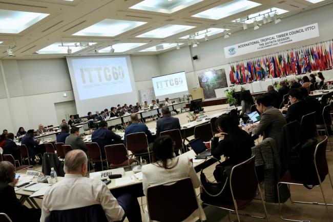 Delegates meet in the final Council session.