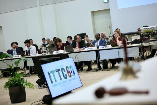Delegates meet during the Council session.