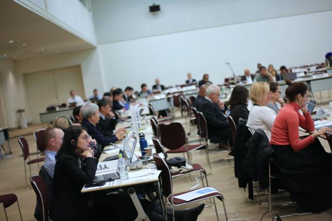 Delegates meet during the Council session.