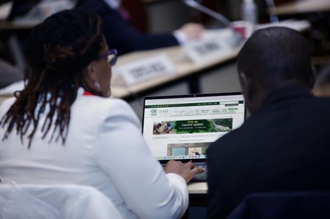 Participants view the ITTO website on a laptop during the ITTC60 session, staying updated on council activities and announcements.