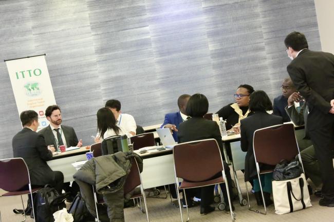 Delegates engage in group discussions during a breakout session at the ITTO-60.