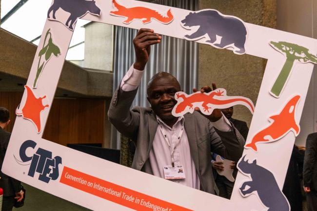 Alain Michel Tchadie, CITES Secretary - CITES_SC78_8feb2025-photo