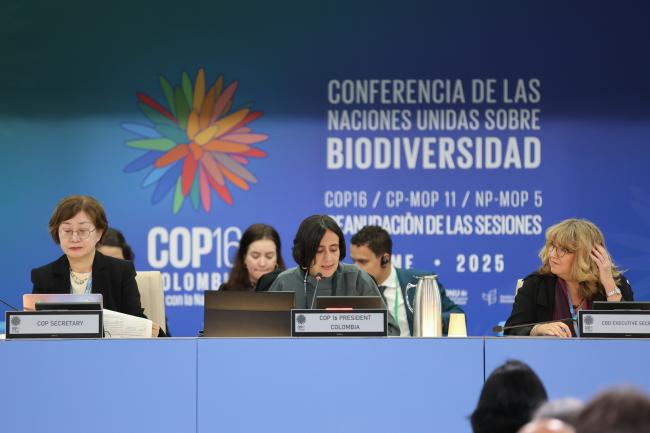 From L-R: COP 16 Secretary Jihyun Lee; COP 16 President Susana Muhamad, Colombia; and CBD Executive Secretary Astrid Schomaker