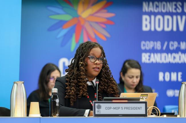 Nagoya Protocol MOP 5 President Nneka Nicholas, Antigua and Barbuda