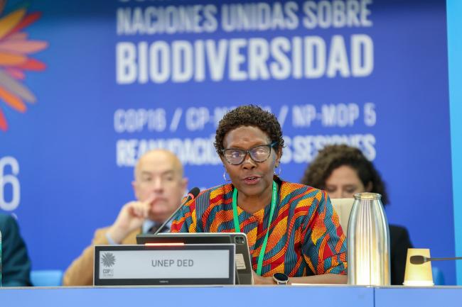 Elizabeth Maruma Mrema, Deputy Executive Director, UNEP