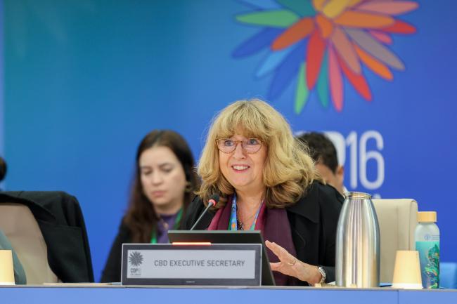 CBD Executive Secretary Astrid Schomaker