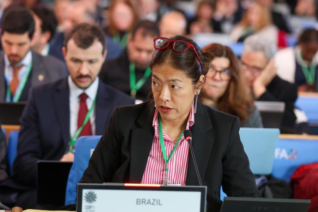 Maria Angélica Ikeda, Brazil