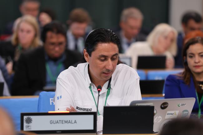 José Luis Echeverría Tello, Guatemala