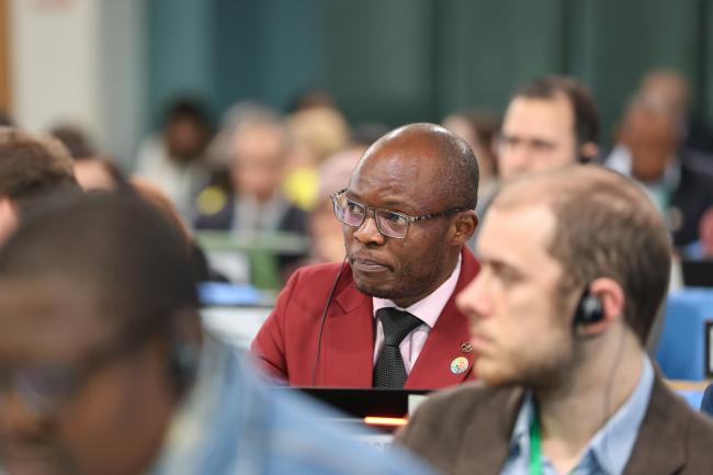 Daniel Mukubi Kikuni, Democratic Republic of the Congo