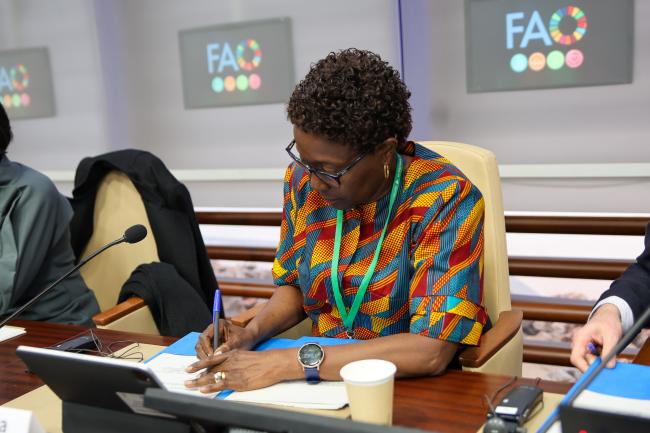 Elizabeth Maruma Mrema, Deputy Executive Director, UNEP