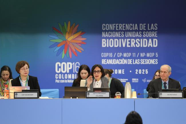 From L-R: COP 16 Secretary Jihyun Lee; COP 16 President Susana Muhamad, Colombia; and Neil Pratt, CBD Secretariat