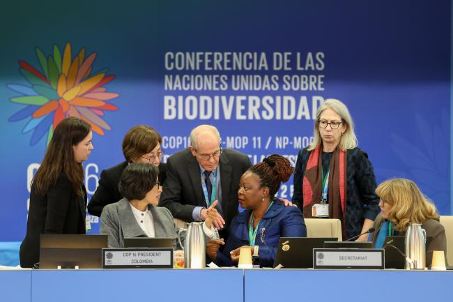 Presidency and Secretariat consulting during the morning plenary