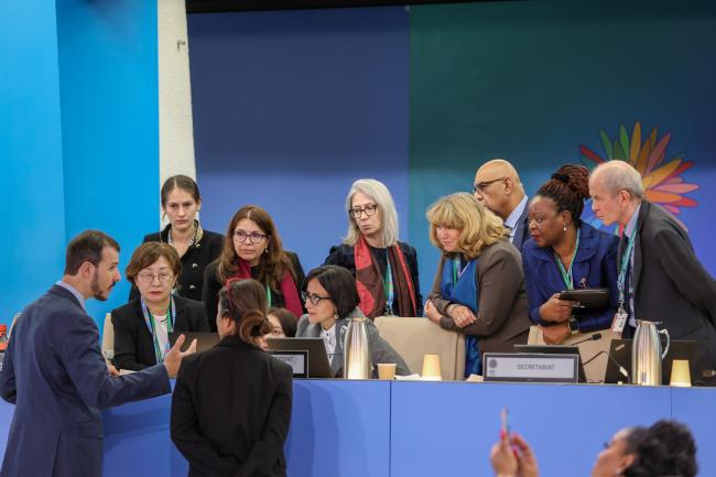 Brazilian delegates conferring with the Presidency and the Secretariat