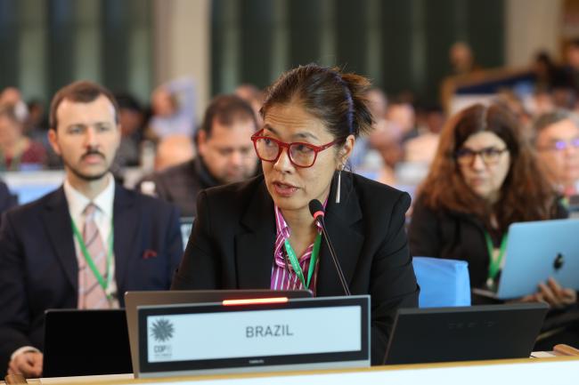 Maria Angélica Ikeda, Brazil