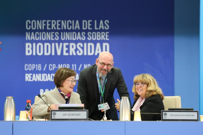 From L-R: COP 16 Secretary Jihyun Lee; David Ainsworth, CBD Secretariat; and CBD Executive Secretary Astrid Schomaker