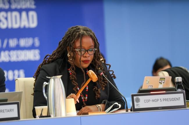 Nneka Nicholas, Antigua and Barbuda, President of the fifth Meeting of the Parties to the Nagoya Protocol (MOP 5)