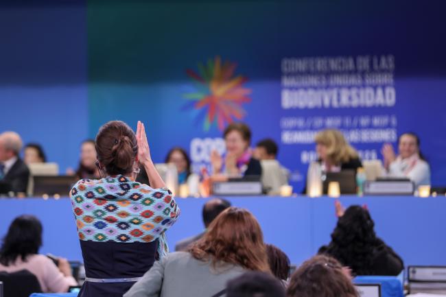 Participants celebrating the adoption of the decisions