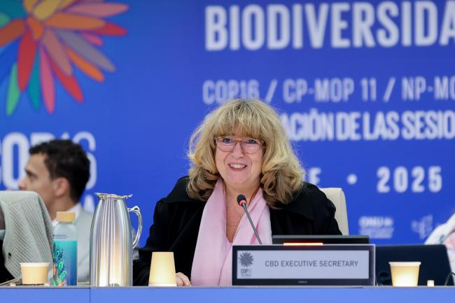 CBD Executive Secretary Astrid Schomaker