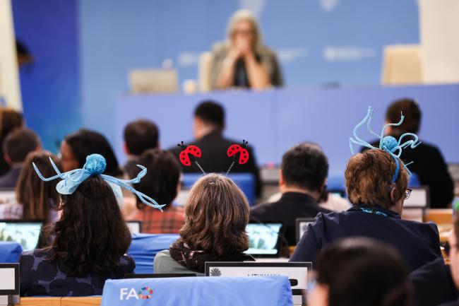 Participants