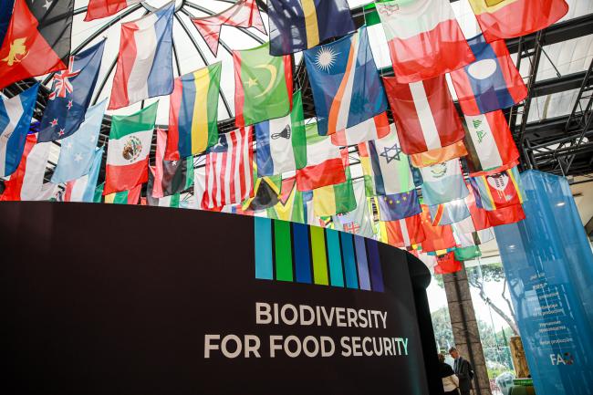 Biodiversity for Food Security