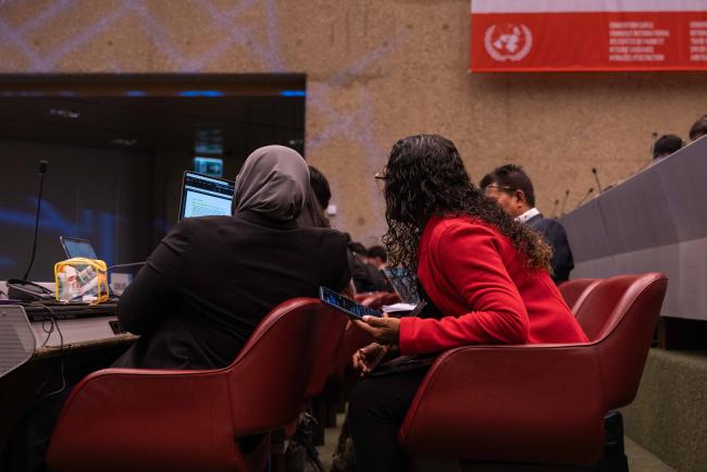 Delegates from Maldives consulting - CITES_SC78_5feb2025-photo