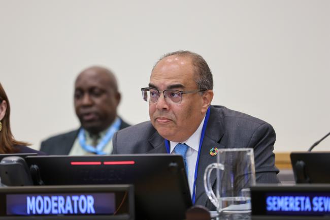 Mahmoud Mohieldin, Special Envoy on Financing the 2030 Agenda