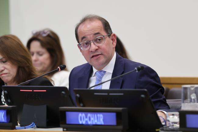Ahmed Kouchouk, Minister of Finance, Egypt