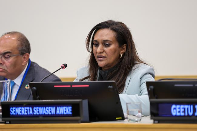 Semereta Sewasew Aweke, State Minister of Economic Cooperation, Ethiopia