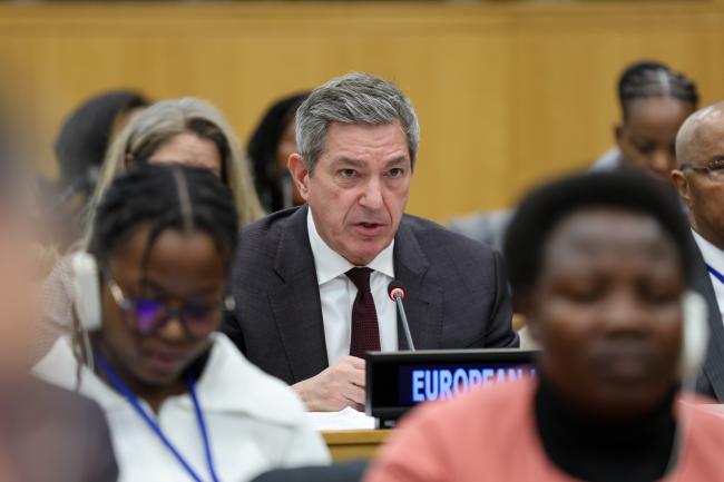 Stavros Lambrinidis, EU