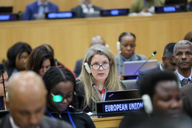 Tiina Satuli, EU