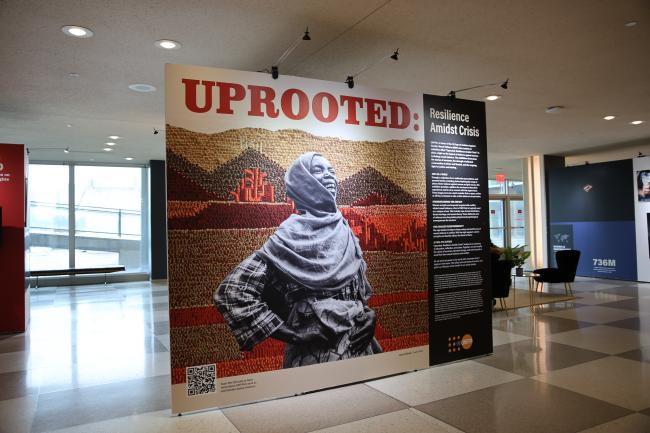Uprooted