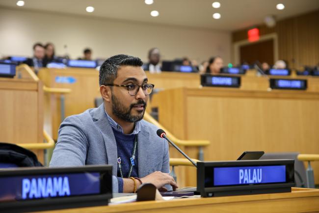 Vladamir Budhu, Palau