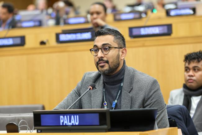 Vladamir Budhu, Palau