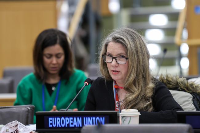 Tiina Satuli, EU