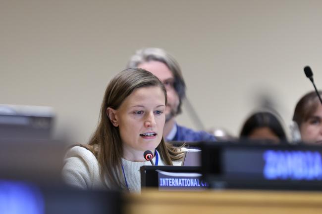 Sandra Hanni, International Chamber of Commerce