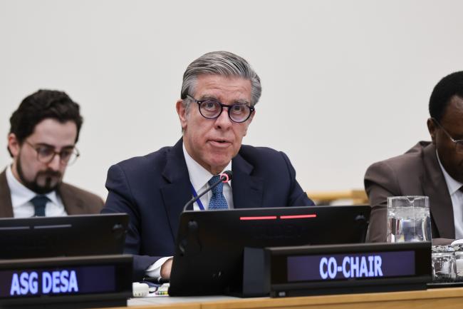 Co-Chair Rui Vinhas, Portugal