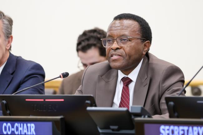 Co-Chair Zéphyrin Maniratanga, Burundi