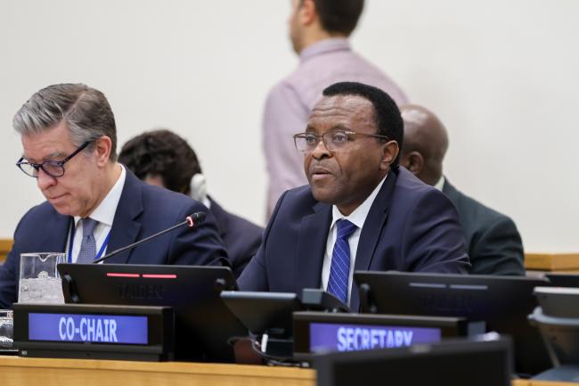 Co-Chair Zéphyrin Maniratanga, Burundi