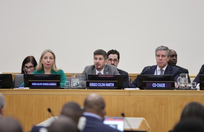 From L-R: Norma Salome Munguia Aldaraca, Director General for Global Affairs, Ministry of Foreign Affairs, Mexico; Sergio Colina Martín, Director-General for Sustainable Development Policies, Ministry of Foreign Affairs, European Union and Cooperation, Spain; and Co-Chair Rui Vinhas, Portugal