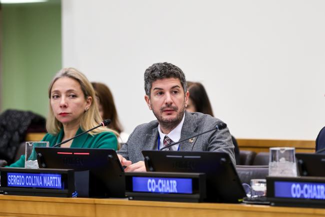 Sergio Colina Martín, Director-General for Sustainable Development Policies, Ministry of Foreign Affairs, European Union and Cooperation, Spain