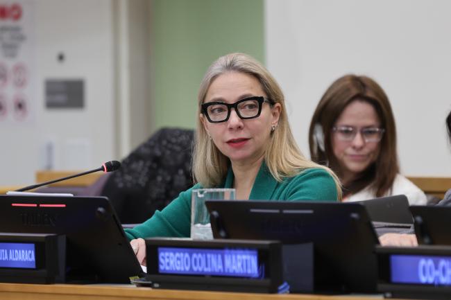 Norma Salome Munguia Aldaraca, Director General for Global Affairs, Ministry of Foreign Affairs, Mexico
