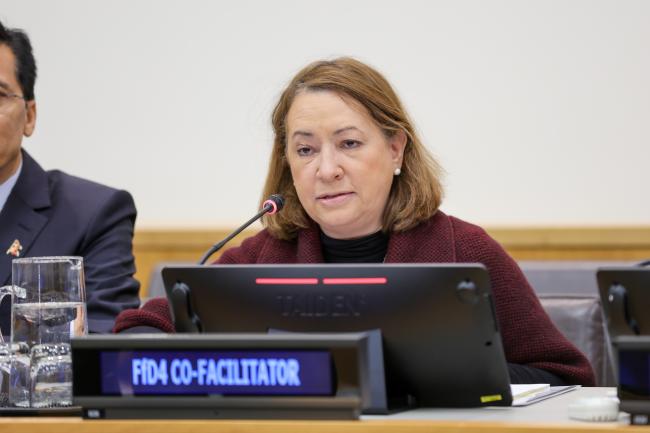 Co-Facilitator Alicia Buenrostro Massieu, Mexico