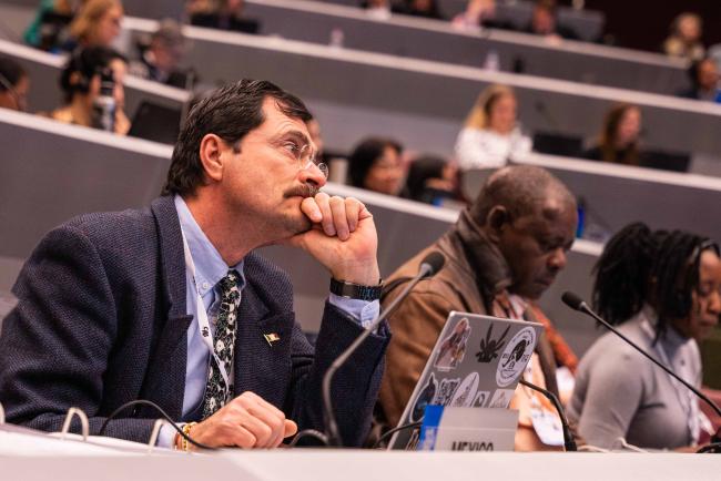 Fernando Gual Sill, Mexico - CITES_SC78_8feb2025-photo