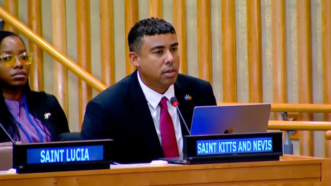 Garth Wilkin Saint Kitts and Nevis