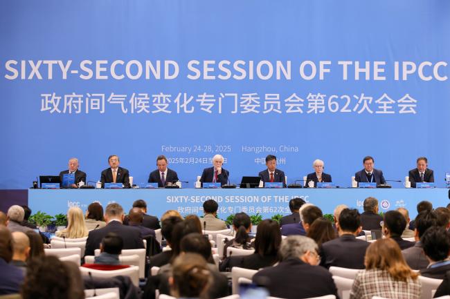 View of the panel during the Opening Ceremony 