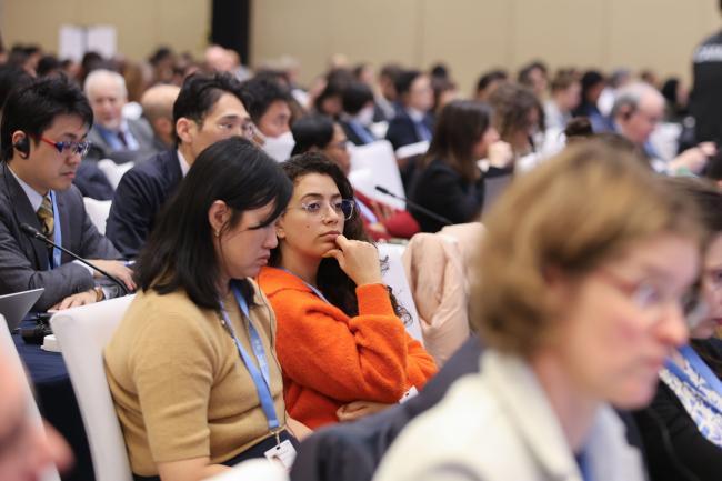 Delegates during the plenary
