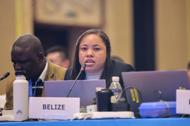 Shanea Young, Belize