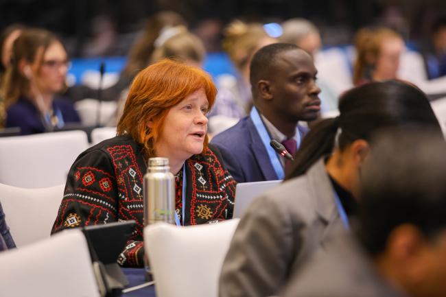  Photo by IISD/ENB | Anastasia Rodopoulou