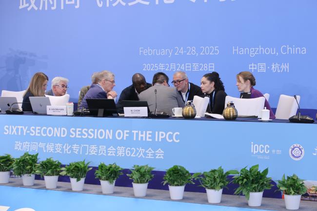 Consultations on the dais WG II 