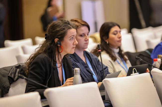 Mary Church, Center for International Environmental Law (CIEL) 
